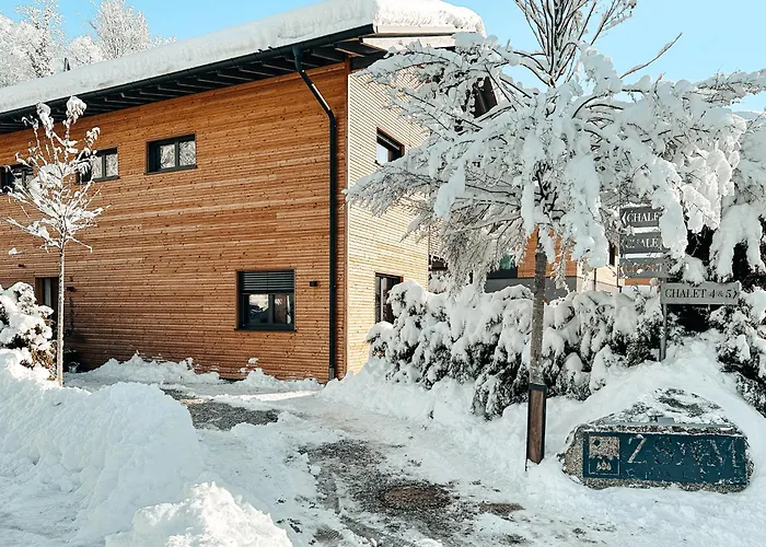 Zsam Chalets Mit Sauna Und Hottub